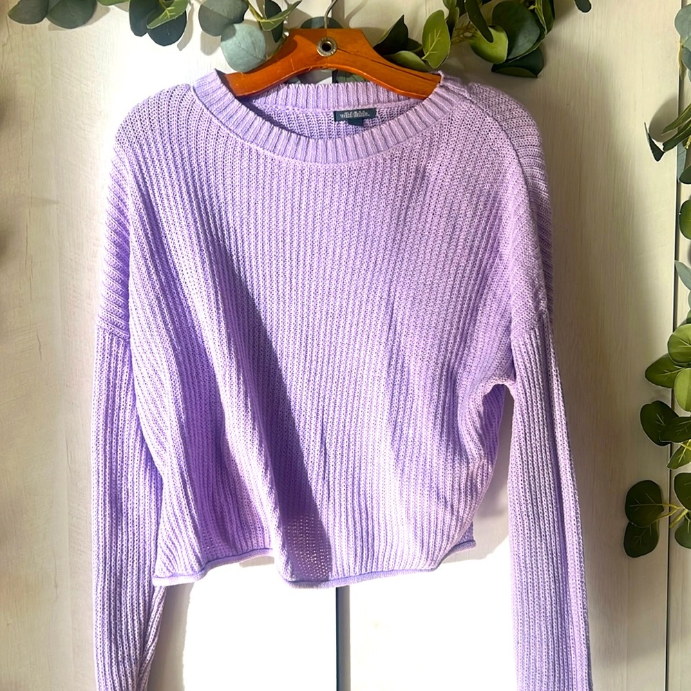 Target wild fable purple sweatshirt crop